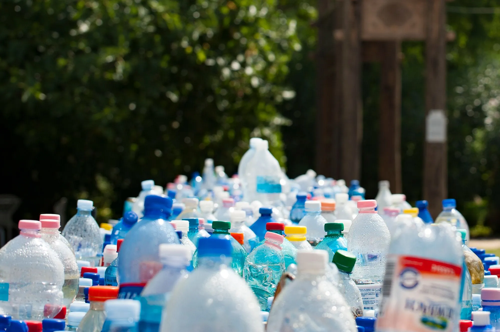 Sticle de plastic colectate pentru reciclare